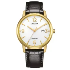 Citizen miesten kello BM6756-01A