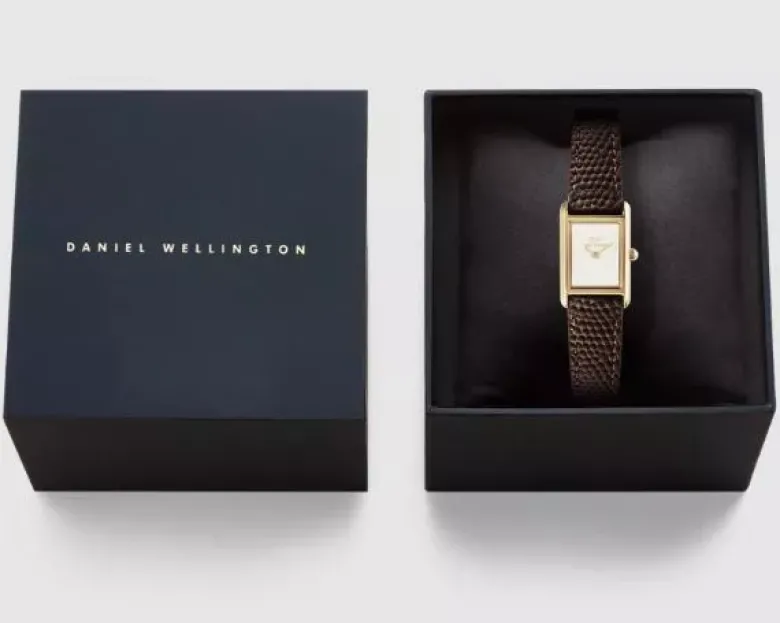 Daniel Wellington Bound Mini Lizard naisten kello DW00100904