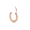 Daniel Wellington Micro Earring teräskorvakoru DW00400861