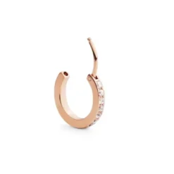 Daniel Wellington Micro Earring teräskorvakoru DW00400861