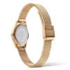 Daniel Wellington Ophelia Mini Mesh naisten kello DW00100940