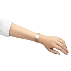 Daniel Wellington Petite naisten kello DW00100447