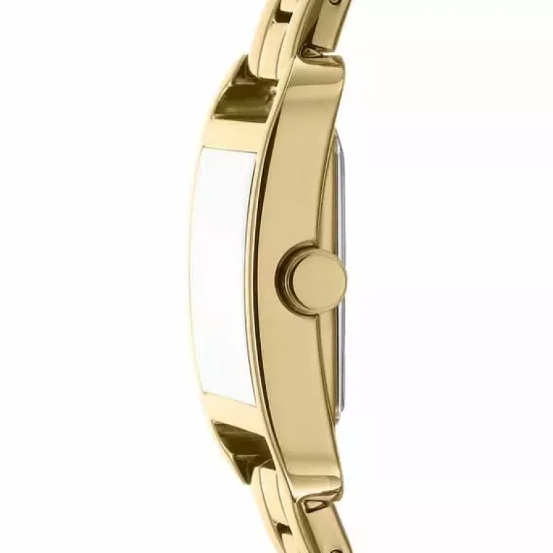 DKNY City Midi naisten kello DK1L004M0055
