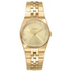DKNY Essentials naisten kello DK1L177M0035