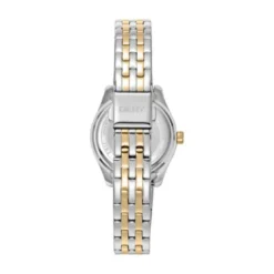 DKNY Everyday naisten kello DK1L017M1085