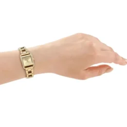 DKNY Mini naisten kello DK1L143M0035