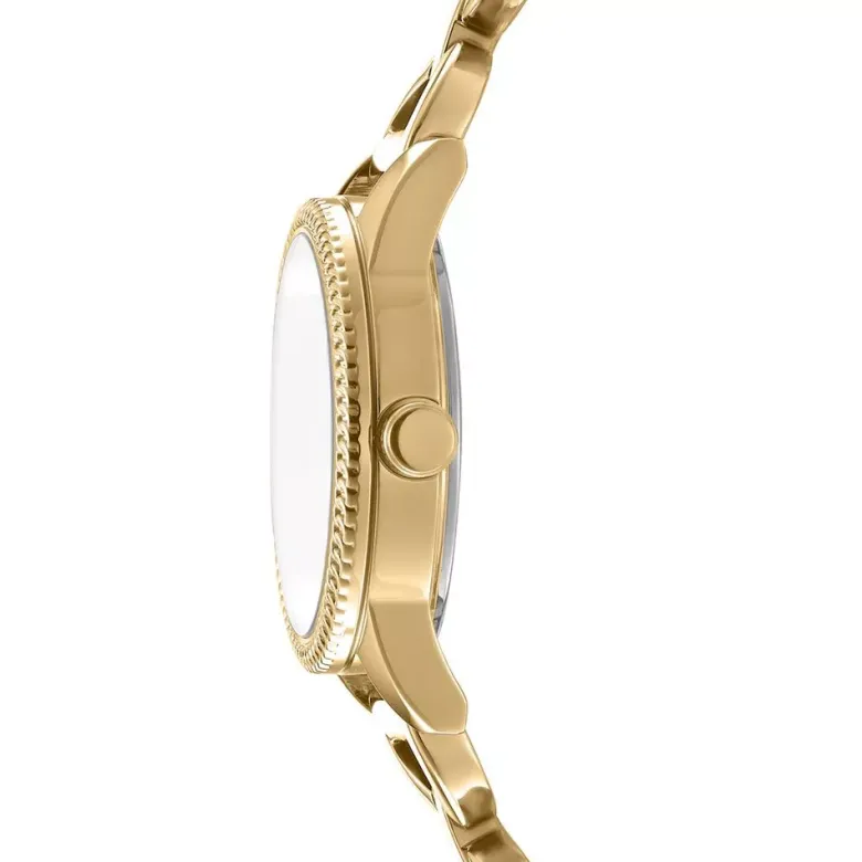 DKNY Open Link naisten kello DK1L113M0245