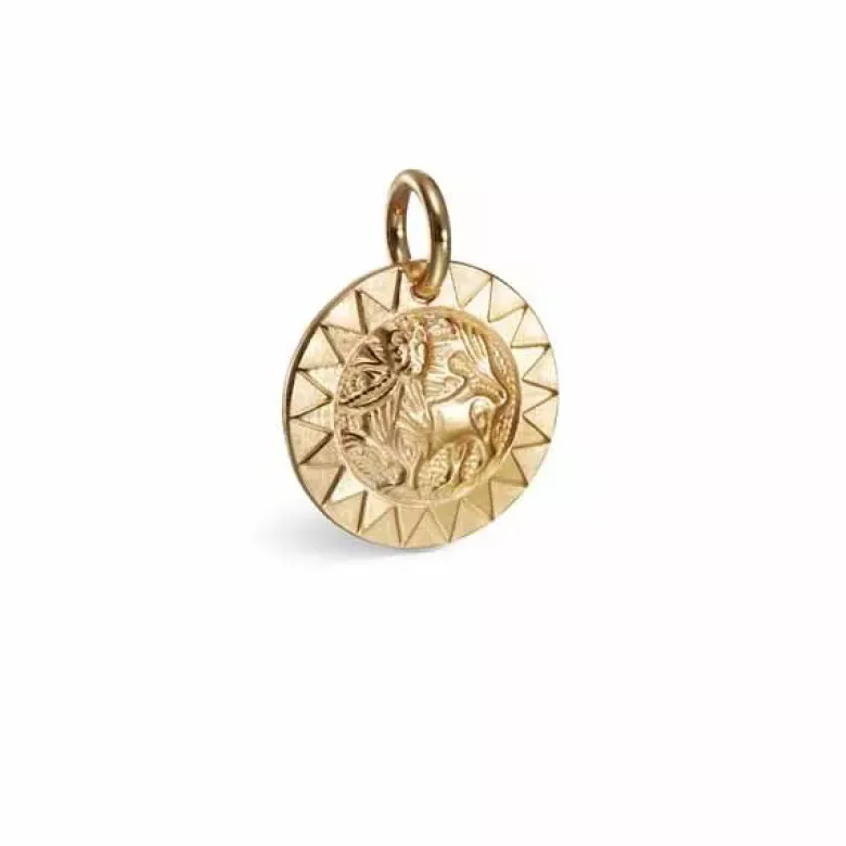 Kalevala Amuletti Aurinkoleijona pronssiriipus 38703132