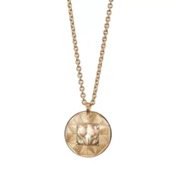 Kalevala Amuletti pronssikaulakoru 3270314460