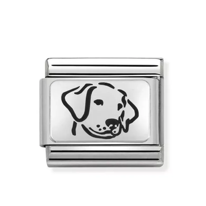 Nomination Jewelry SilverShine Classic teräskoru muu 330109/06