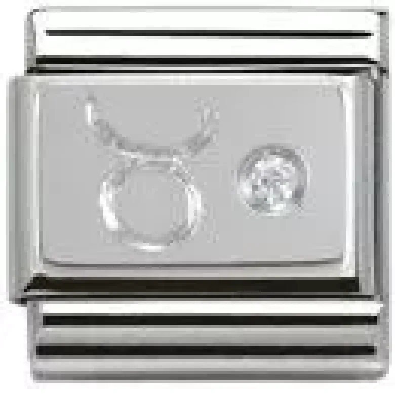 Nomination SilverShine teräskoru muu 330302/02