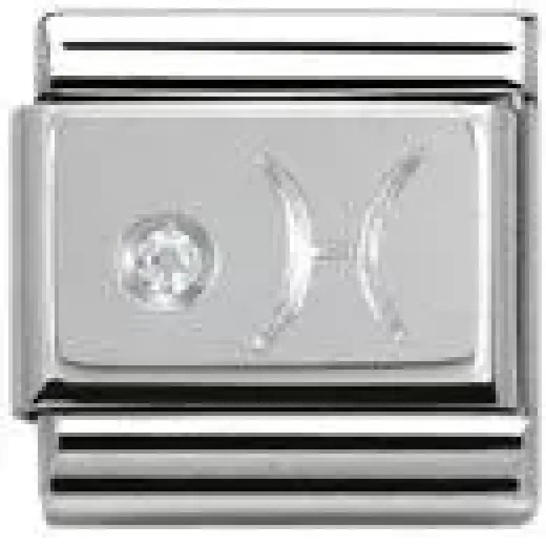 Nomination SilverShine teräskoru muu 330302/12