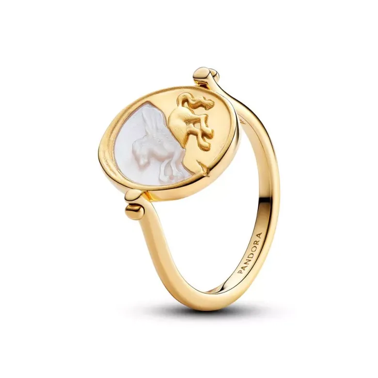 Pandora Pegasus Reversible muotisormus 164812C01