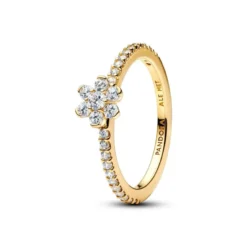 Pandora Sparkling Flower muotisormus 164499C01