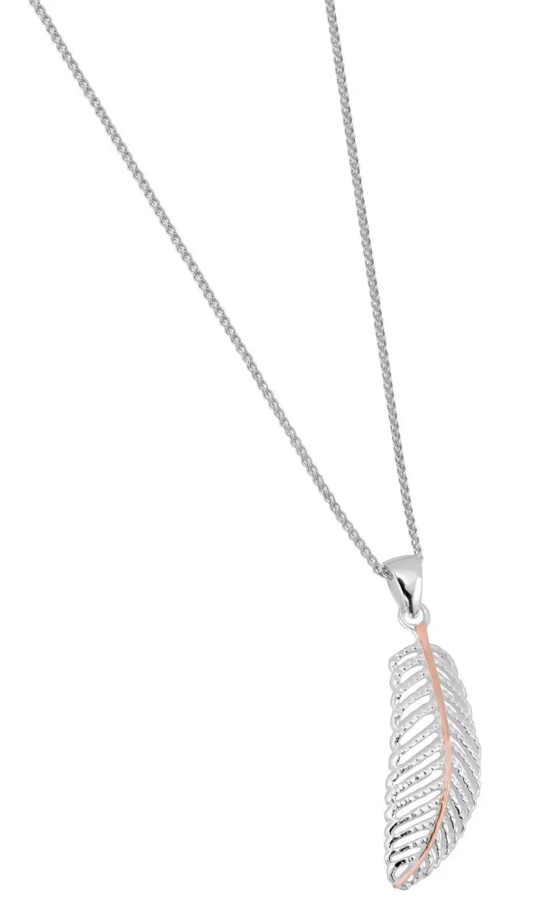 Plus hopeariipus SPC07688-01
